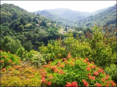 Parmi ces inventions françaises, laquelle doit-on à un (ou deux) ardéchois ?