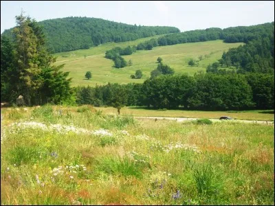 En Ardèche, qu'entend-on par "burle" ?