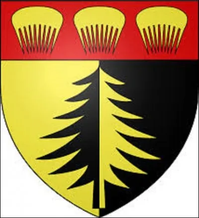 Quelle ville de l'Ain de 22 485 habitants, dont le blason se compose ainsi : parti d'or et de sable, au sapin de l'un en l'autre, au chef de gueules chargé de trois peignes d'or, vit le 11 novembre 1943, le chef des maquis de l'Ain défiler avec ses hommes dans ses rues pour aller déposer une gerbe en forme de croix de Lorraine devant le monument aux morts ? (On l'appelle aussi la cité des peignes)