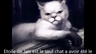 Comment meurt Étoile de Jais ?