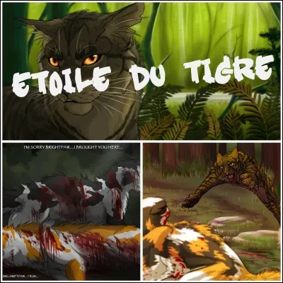 Étoile de Jais a-t-il aidé Étoile du Tigre à amener la meute de chiens sur le camp du Tonnerre ?