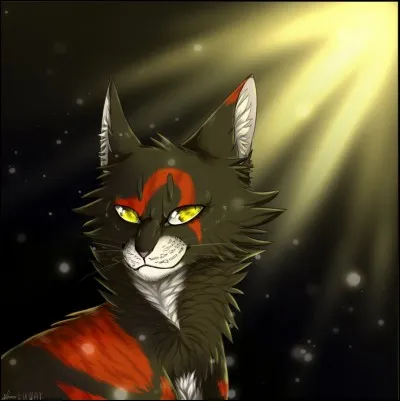 C'est à cause de Sol qu'Étoile de Jais ne croit plus au clan des Etoiles.