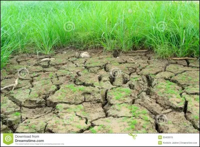 Comment appelle-t-on l'étude scientifique des sols ?