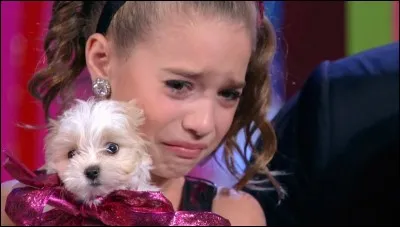 Qui a offert ce chien à Mackenzie ?