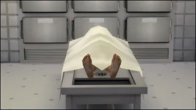 Quel chanteur n'est pas mort en 2016 ?