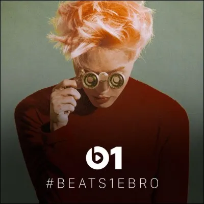 Quelle chanson a chantée Zion.T ?