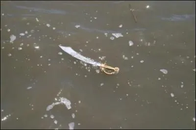 Qu'est-il arriv d'trange cette semaine au Parti Pirate Franais, une association anti-Hadopi :