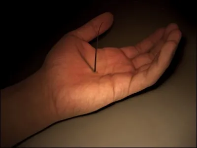 Si j'ai un poil dans la main, c'est que je suis courageux.