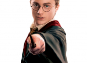 Quiz Harry Potter et la Coupe de Feu