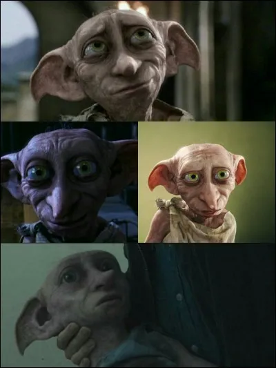 Qu'est-ce qu'Hermione veut faire à propos des elfes de maison ?