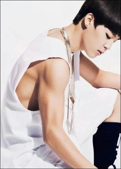 Qui est le danseur principal ?