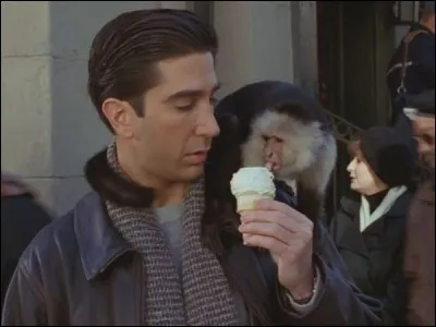 Le singe Marcel appartient à quelle race ?