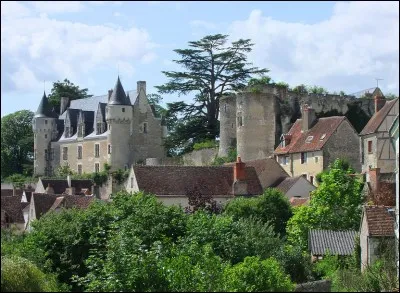 De ces quatre départements,lequel n'est pas frontalier de celui de l'Indre-et-Loire ?