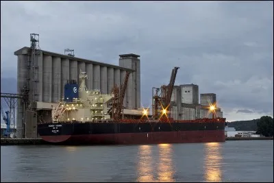 De quel pays, la France importe-t-elle le plus de graines de moutarde ?