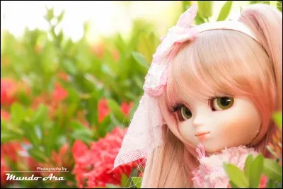 Les Pullip sont...