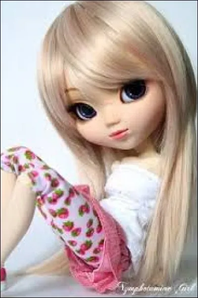 Peut-on tout customiser sur les Pullip ?