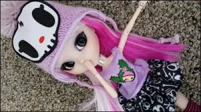 Peut-on les mettre au soleil ?