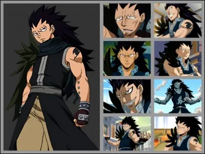 Quels sont les éléments que Gajil utilise en pouvoir du dragon ?