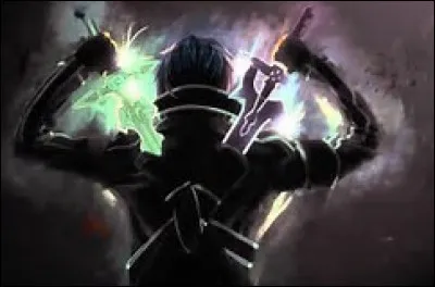Comment appelle-t-on un joueur solo comme Kirito dans "Sword Art Online" (SAO) ?