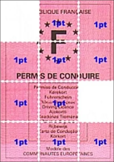 En quelle année est entré en vigueur le permis à points ?