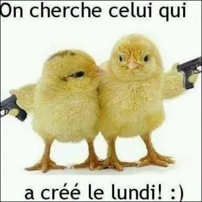 Que veut dire "MDR" ?