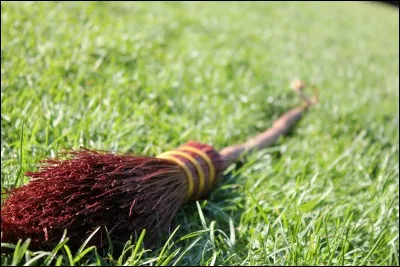 Qui sauve la vie de Harry lors du match de Quidditch ?