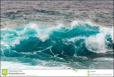 Préfères-tu les rapides ou les vagues ?