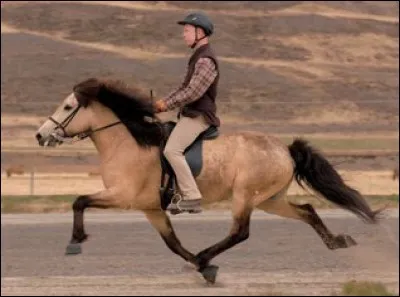 Quelle est cette allure ?