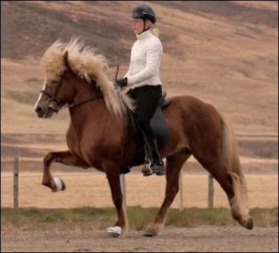 Quelle est cette allure ?