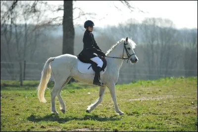 Quelle est cette allure ?