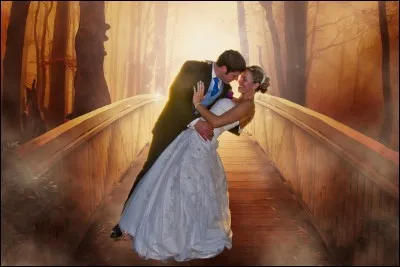 Avec quel homme de "Harry Potter" voudrais-tu sortir ?