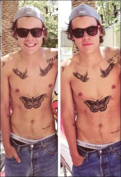 Qu'est-ce qui te correspond le plus ?