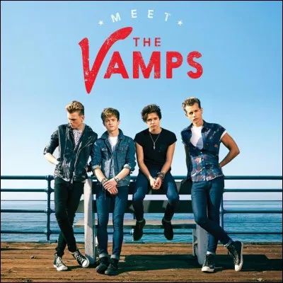 S'il n'avait pas choisi d'int&eacute;grer The Vamps, que serait-il devenu ?