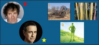 Quelle est la bonne étoile ?