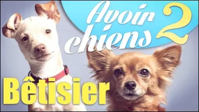 Comment s'appellent ses chiens ?