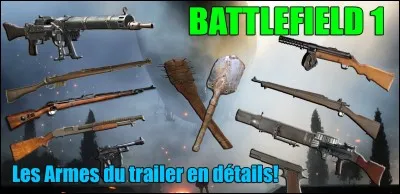 Quel est le maximum de variantes pour les armes principales de "Battlefield 1" ?