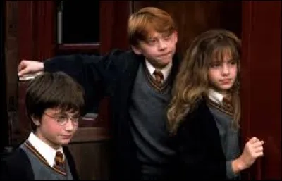 Suite à quel événement Harry et Ron deviennent-ils amis avec Hermione ?