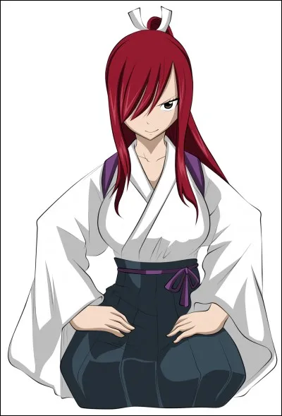 Comment s'appelle l'armure qui a permis à Erza d'arrêter le tir à conversion magique du canon Jupiter lors de la contre-attaque de Phantom Lord ?