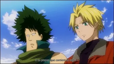 Si vous deviez vous teindre les cheveux, quelle couleur choisiriez-vous ?