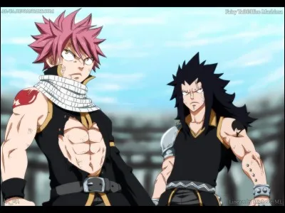 Si vous aviez le choix entre les métiers suivants, lequel choisiriez-vous ?