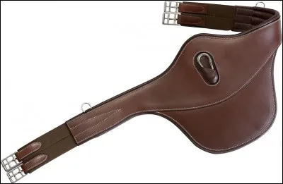 Quelle est la protection ventrale ?