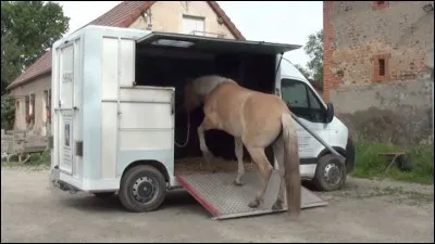 Comment appelle-t-on ce moyen de transport ?