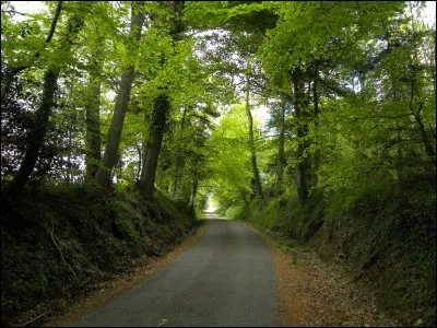 Peut-on galoper sur cette piste ?