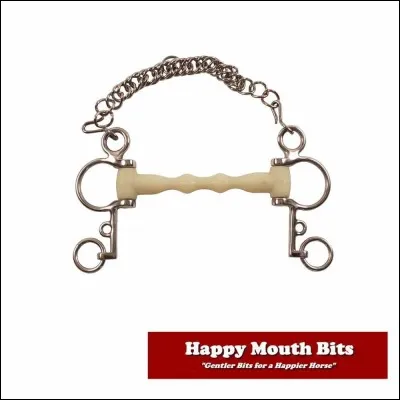 Comment appelle-t-on ce mors ?