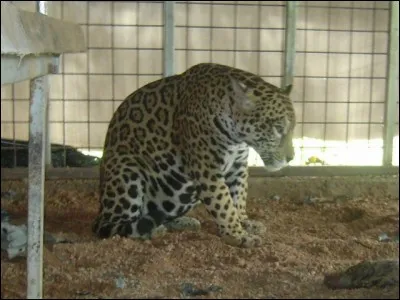 Particule constituant le noyau d'un atome !