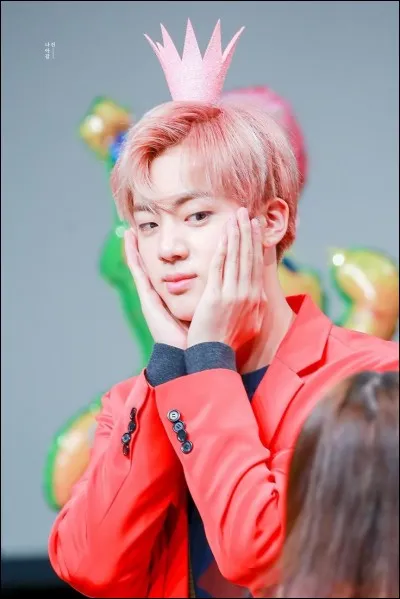 Dans le groupe, Jin est :