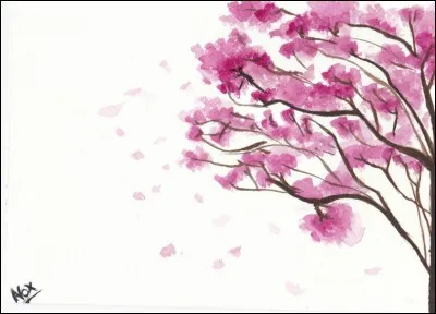 Quelle est ta saison préférée ?