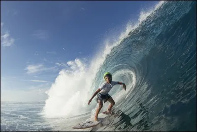 On peut aussi voir des :