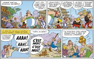 Dans Astérix, comment s'appelle le chef du village ?