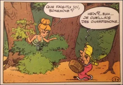 Dans Astérix, qui est la femme d'Ordralphabétix ?